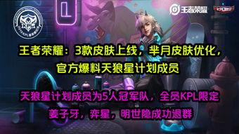 爆料最新优化皮肤,皮肤生成技术革新，重塑虚拟形象新篇章